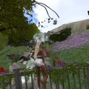 Thumb 5af08ab2d9859c05fc000001