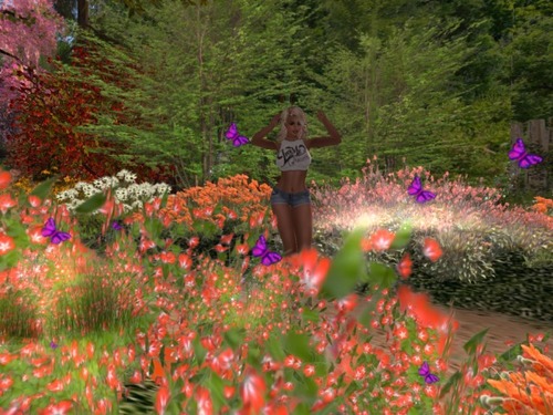 Web 58ca2c18e85cda10d1000001