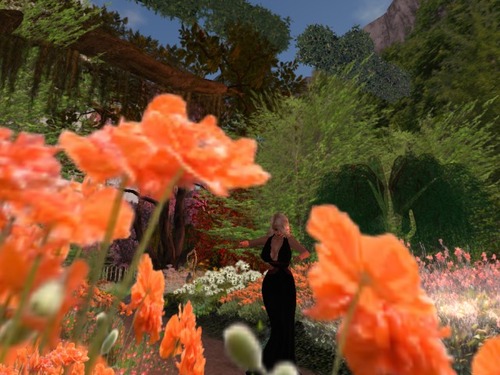 Web 58ca2faff8a1ec445f000001