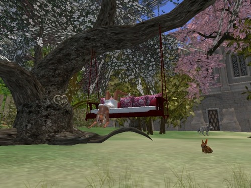 Web 58cd583ff8a1ec4050000001