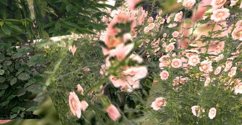 Web 5928de04289dd257b2000001