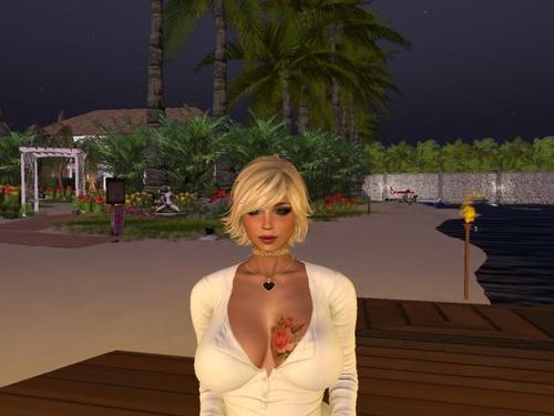 Web 5b2449ec289dd2633b000001