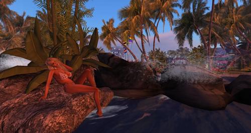 Web 5b66a642289dd22fb2000001