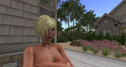 Web 5b6a0e8c289dd24a8c000001