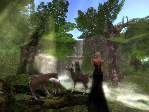 Web 5dd4aa1173ed17409e000001