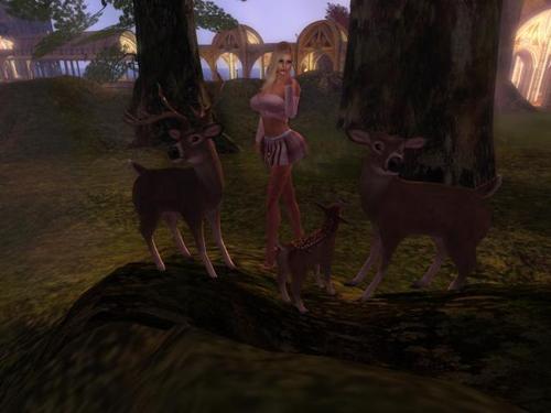 Web 5de1ba31d9859c142066499d