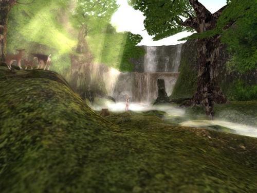 Web 5dee67b8289dd213c89c7b1c