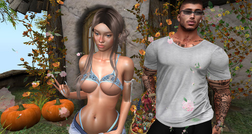 Web 6448c3cd3d8d3c3513dca015