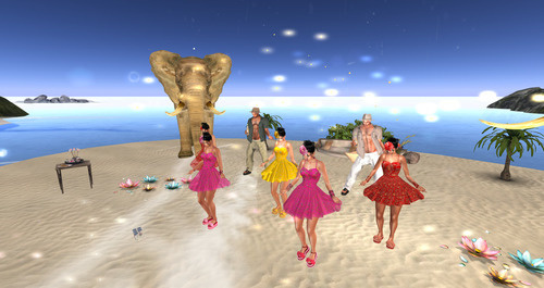 Web 648d1a01af188e7044d5513f