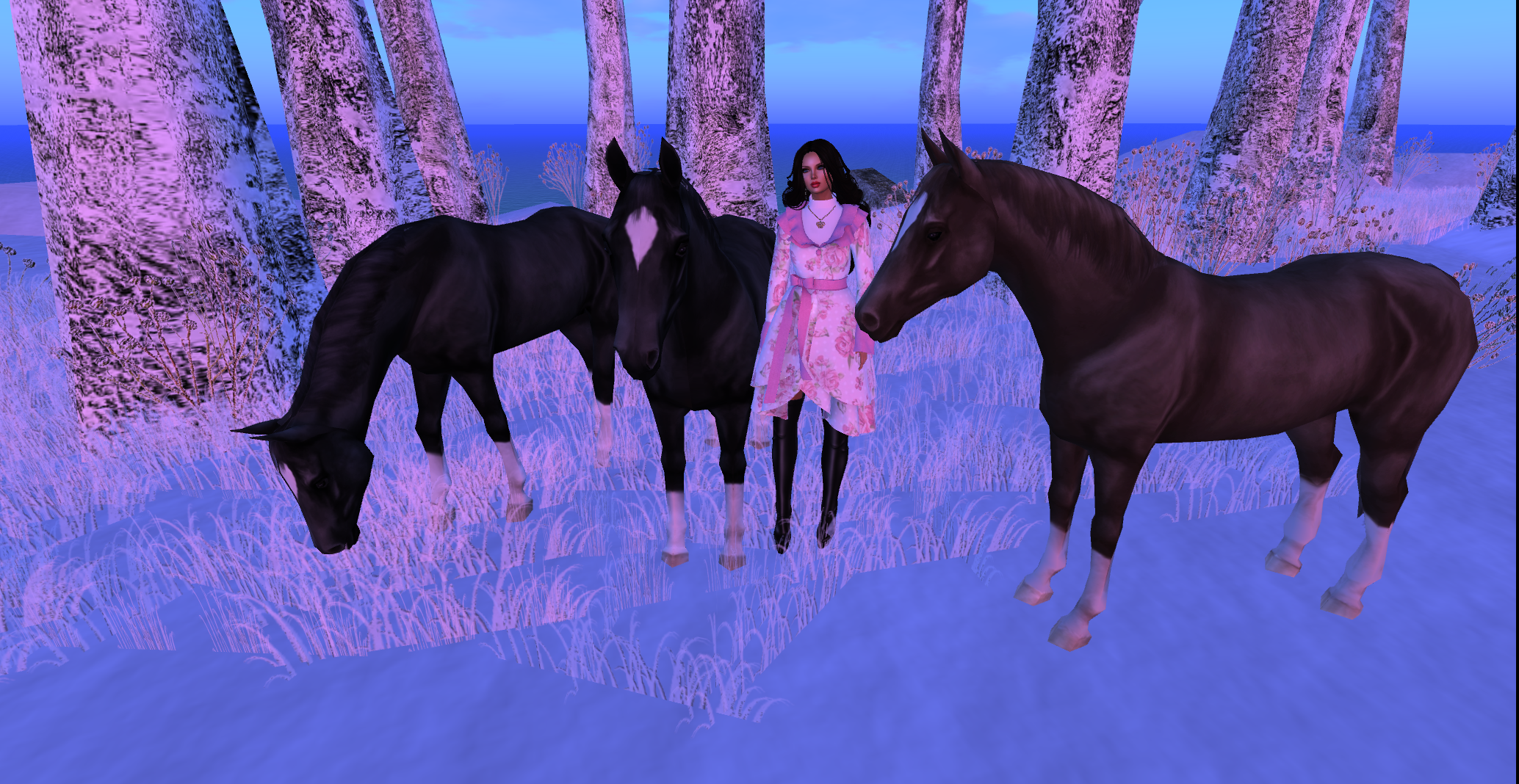 Original 56600c2df8a1ec3108000001