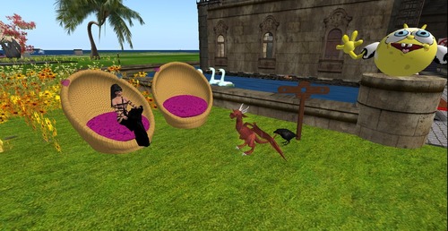 Web 551584568da5722204000001