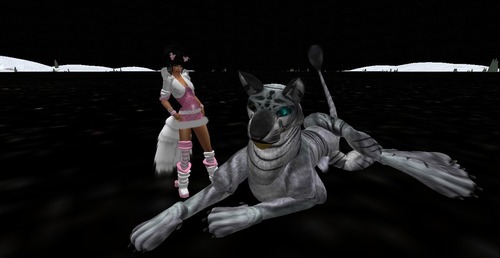 Web 552a3d4df8a1ec304c000001