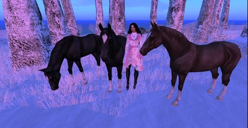 Web 56600c2df8a1ec3108000001