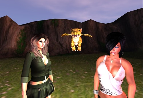 Web 575169d7b015400c51000001