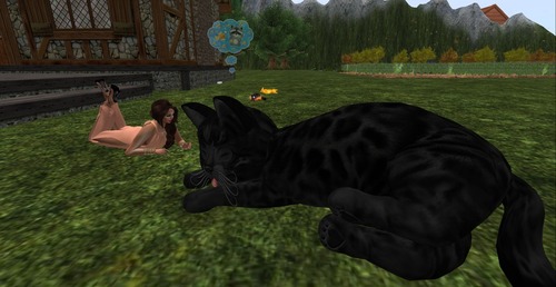 Web 577eba52b01540035d000001