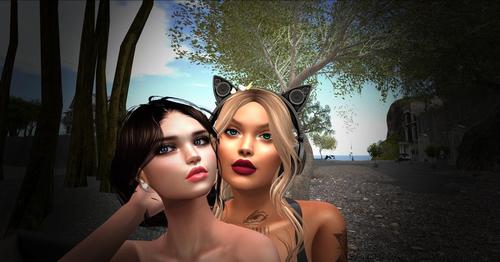 Web 5cb70cb873ed17644e000001