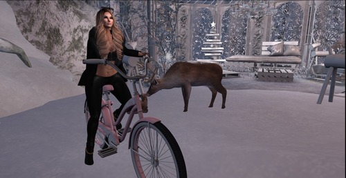 Web 565188553f942f237b000001