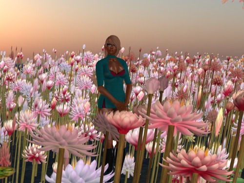 Web 558de72b8da57276aa000001