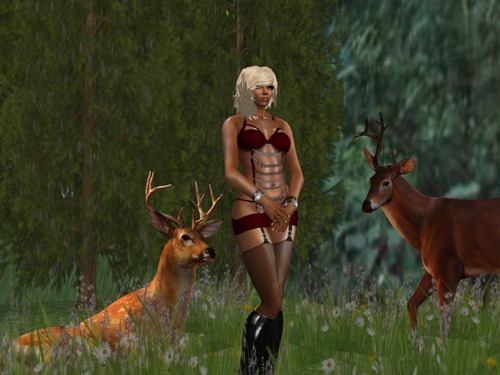 Web 55a6879e128cc9131e000001