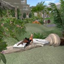 Thumb 562947123f942f7509000001