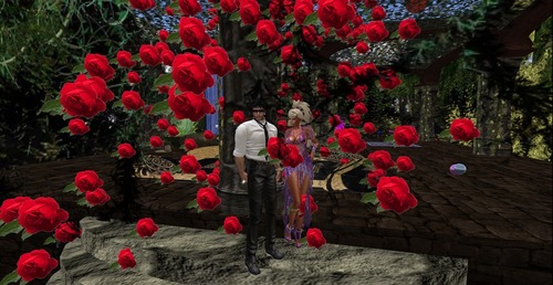 Web 563fbdf29934e04355000001