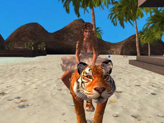 Original 59997506289dd23c43000001