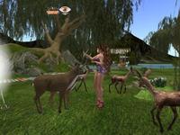 Small 5b38b182289dd21cc3000001