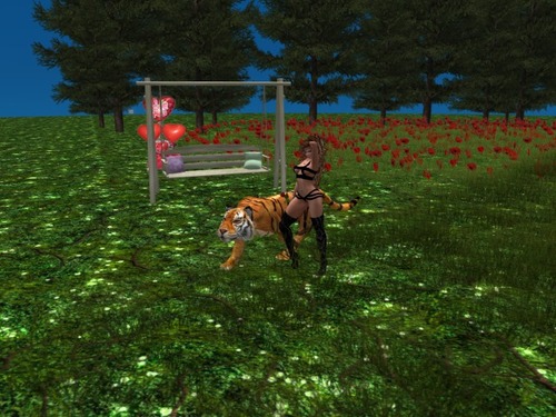 Web 582a6f15b713f734e6000001