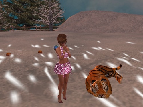 Web 58418d0bb713f77c40000001