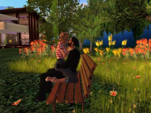 Web 59341927d774f85816000001