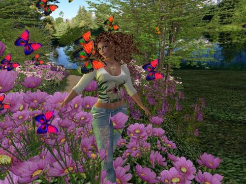 Web 5957ccf9d9859c03d8000001