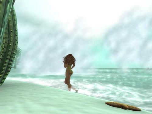 Web 595bb919d774f84277000001