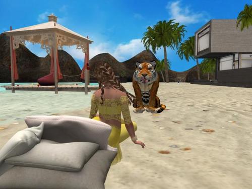 Web 598c903573ed17157e000001