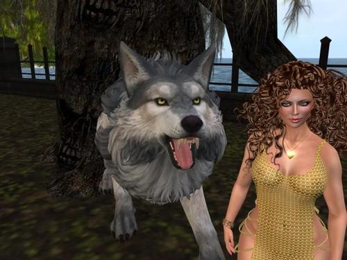 Web 59947f09d9859c224f000001