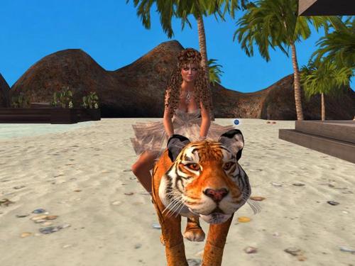 Web 59997506289dd23c43000001