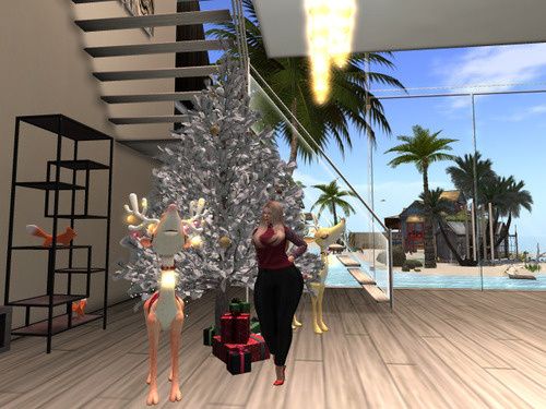 Web 6772a7a6018f03211dd3637d