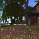 Thumb 56cd178fe85cda7e19000001