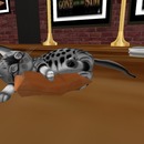 Thumb 56cfb5d8f8a1ec3e08000001