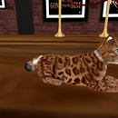 Thumb 56d65e25f8a1ec6f76000001