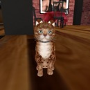 Thumb 56d66017e85cda4423000001