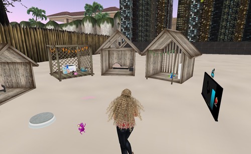 Web 56d0f5d1b713f75958000001