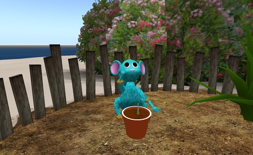 Web 56d64dd79934e017c8000001