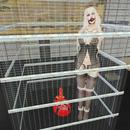 Thumb 5deb902573ed1747758351f9