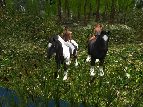 Web 5898d8ebb015405e7b000001