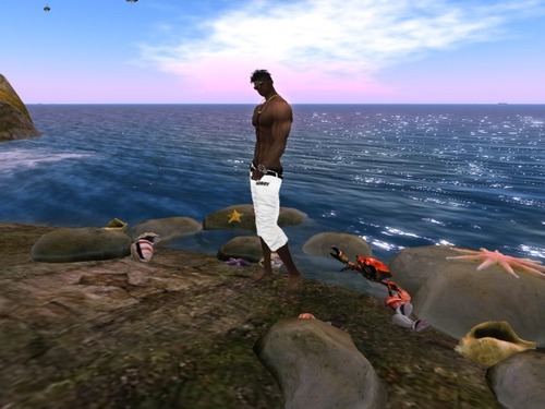 Web 5898eb88b713f7651a000001