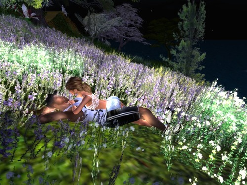 Web 589cf6a7b713f719b7000001