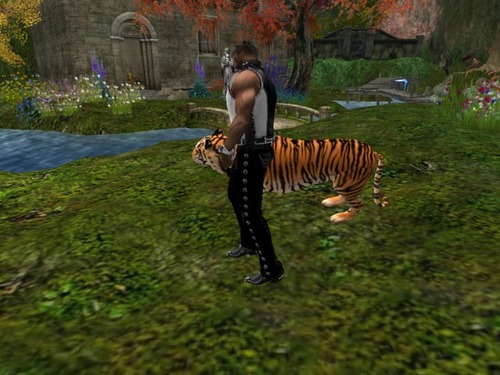 Web 589e473ab01540162b000001