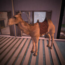 Thumb 64d01413f854fa5989d99483