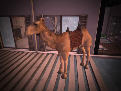 Web 64d01413f854fa5989d99483