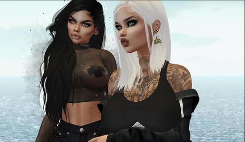 Web 5d5009edd9859c2360000001